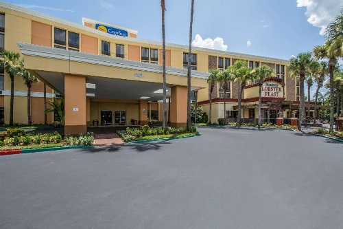 Comfort Inn & Suites Kissimmee By the Parks image 8